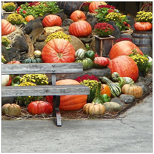 Gatlinburg " Fall Setting " Stephen Jones Flickr