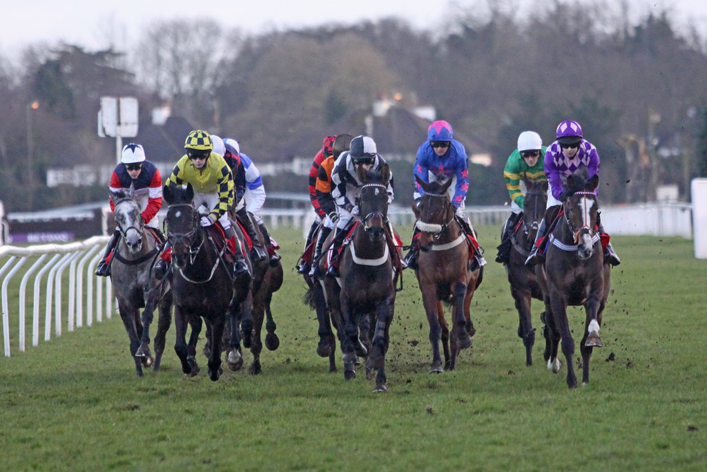 Kempton NH Flat race Kempton Park, 7 February 2014. Maiden… Flickr