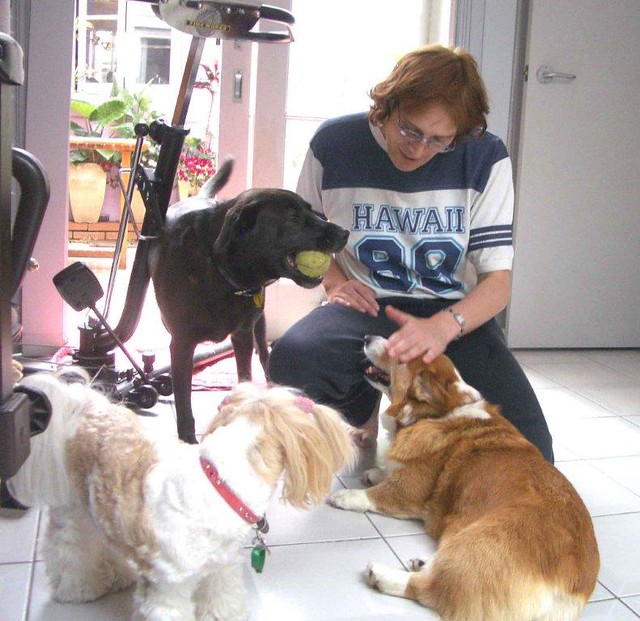 Dogminding We are providing best pet minding service for … Flickr