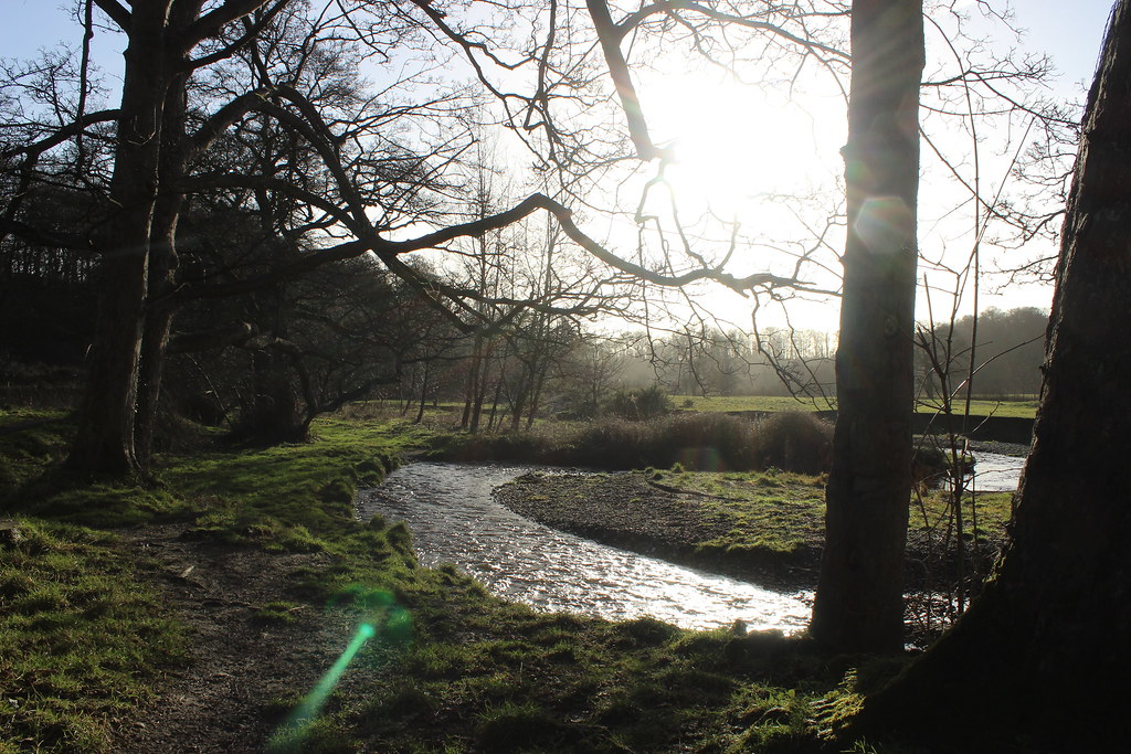 IMG_0308 CoedyGlyn Wood, Wrexham Rebeccawithers Flickr