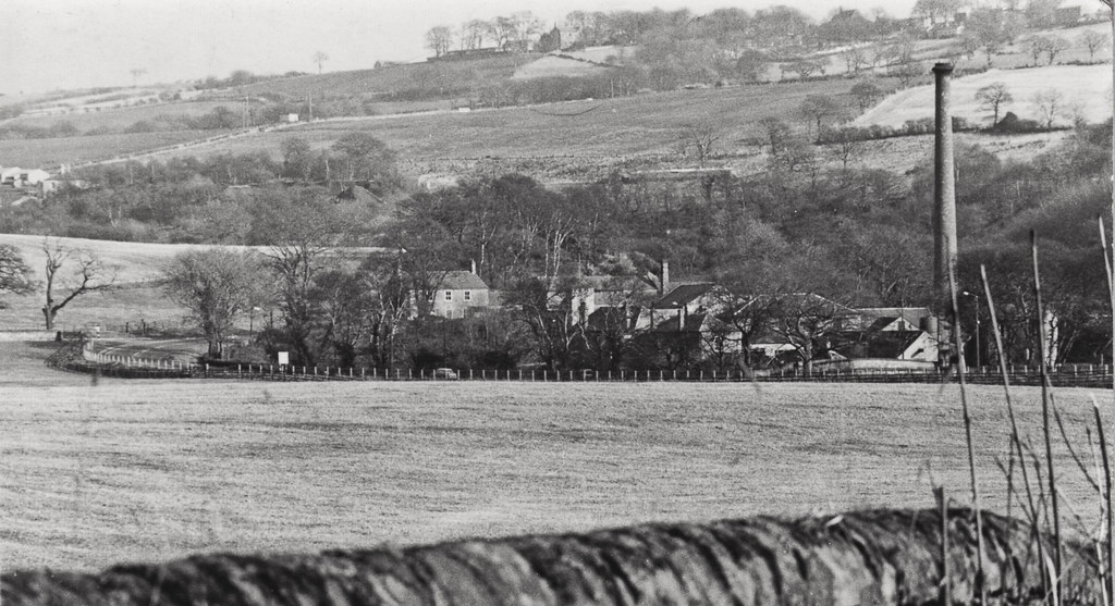 Lintzford. 88whinfield Flickr