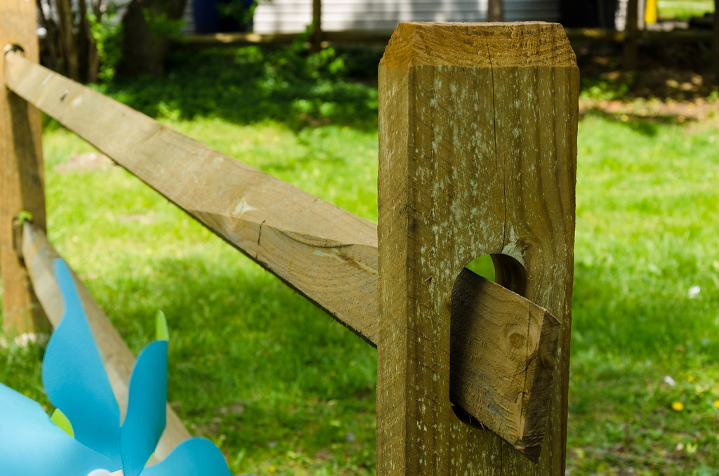 Fence Post I actually asked the owners of the house if I c… Flickr