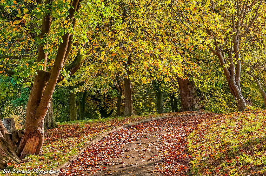 Greenbank Park Greenbank Park is situated in the south of … Flickr