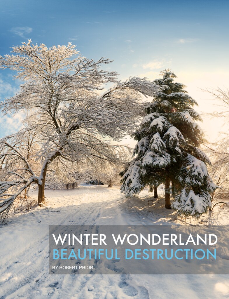 Winter Wonderland (cover) Cover of my new book
