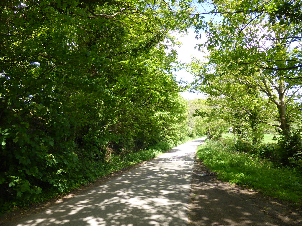 Boreham Lane, Boreham Street, Sussex Paul F 36 Flickr