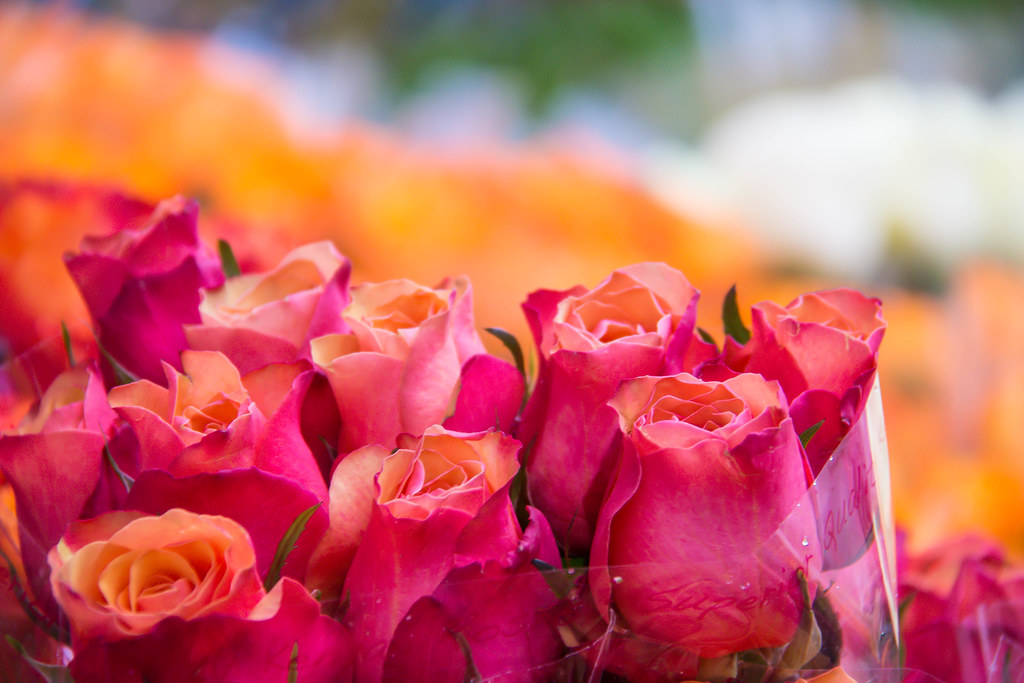 Roses at the Market Susanne Nilsson Flickr