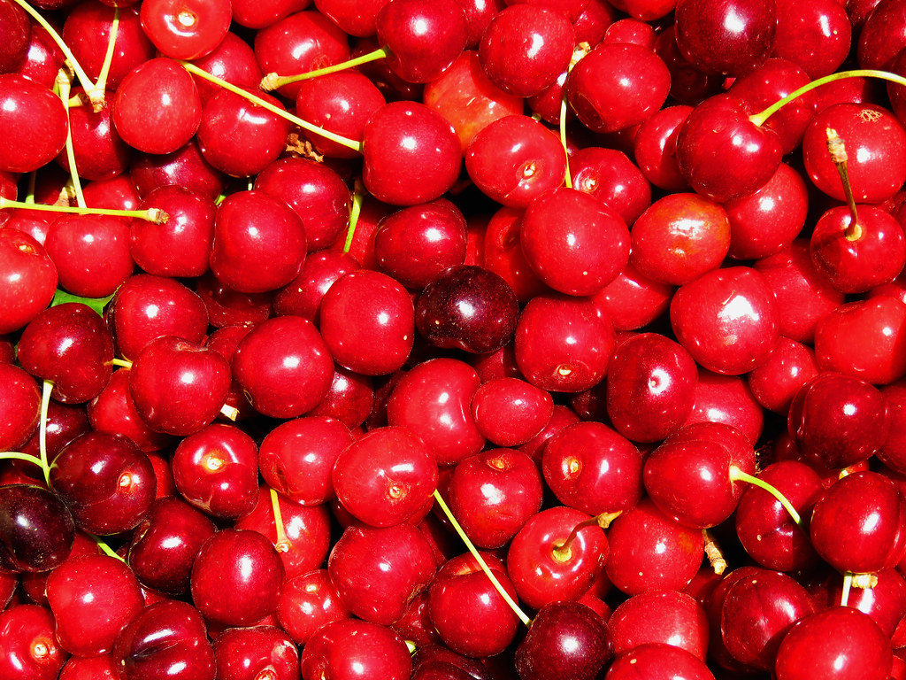 Idaho Cherries Fresh Idaho cherries in an orchard near Nam… Flickr