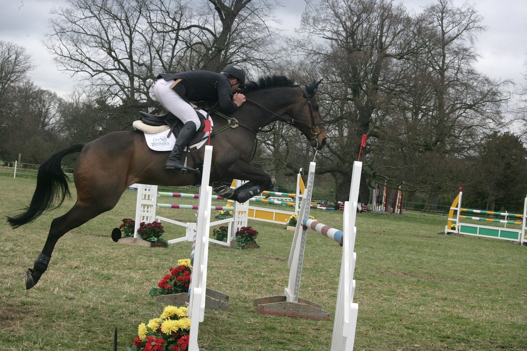 Showjumping at Belton Horse Trials 2014 Flickr