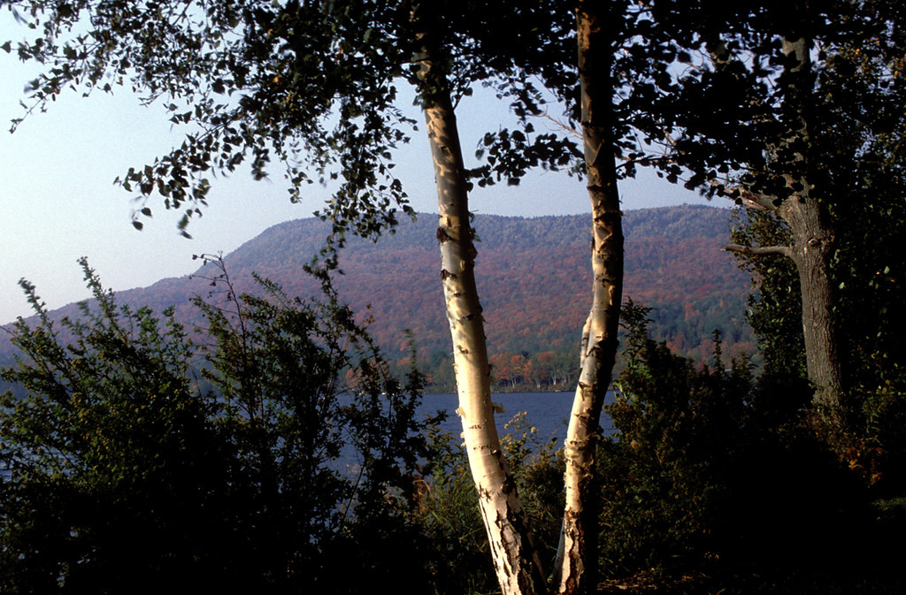 0211U Scenic, Autumn Lake Elmore, Vermont 10/15/1988 Elmor… Flickr