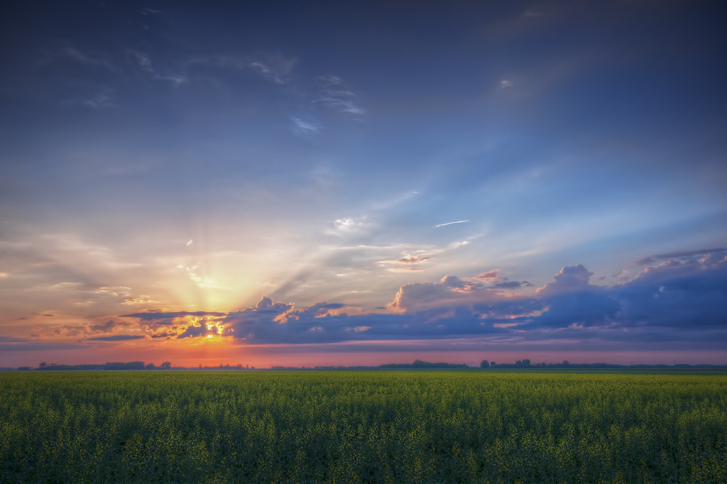 Elevation of Plympton Rd 56N, Dugald, MB R0E 0K0, Canada Topographic