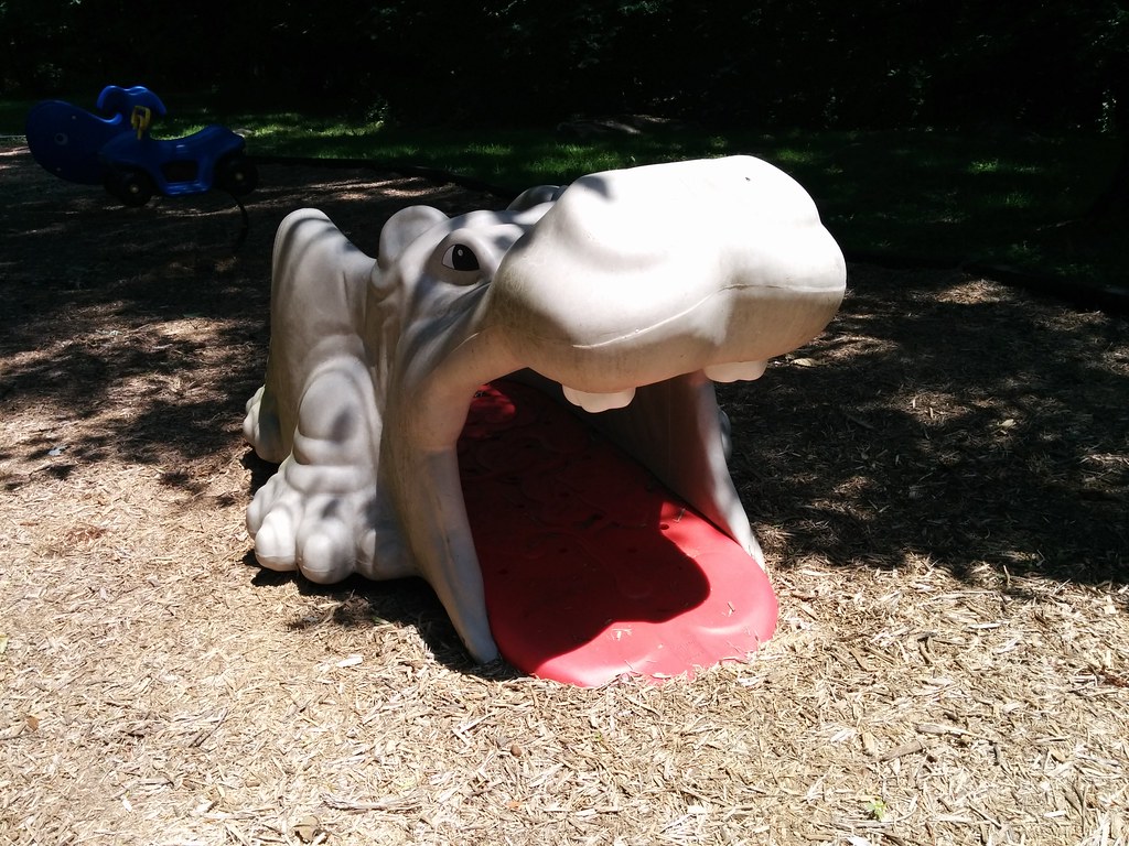 Hippo Afton Park, Wilmington, DE Morton Fox Flickr