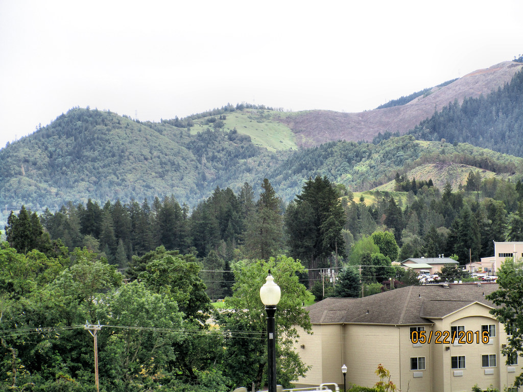 Elevation of Knoll Terrace Dr, Canyonville, OR, USA Topographic Map