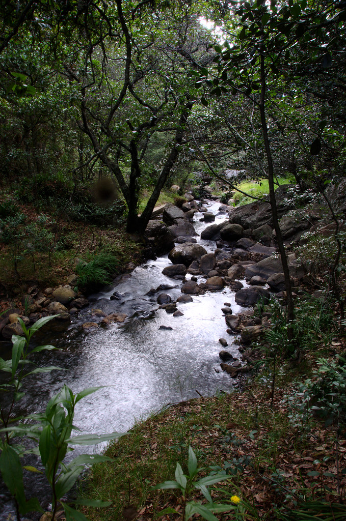 Cane river in Iguaque Luis Alejandro Bernal Romero