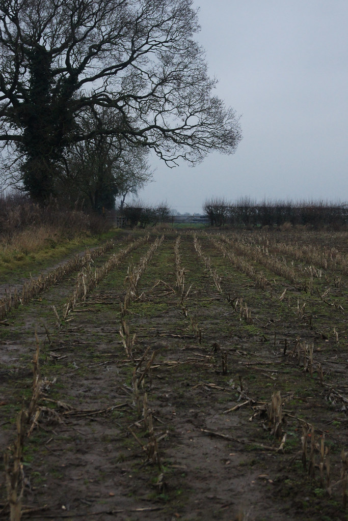 Leicester Forest East Enderby RhianneBurgess Flickr