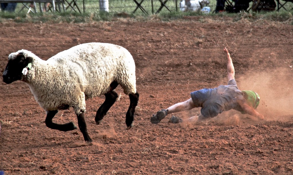 Archer City Rodeo in Archer Cith Texas Nick Barnes Flickr