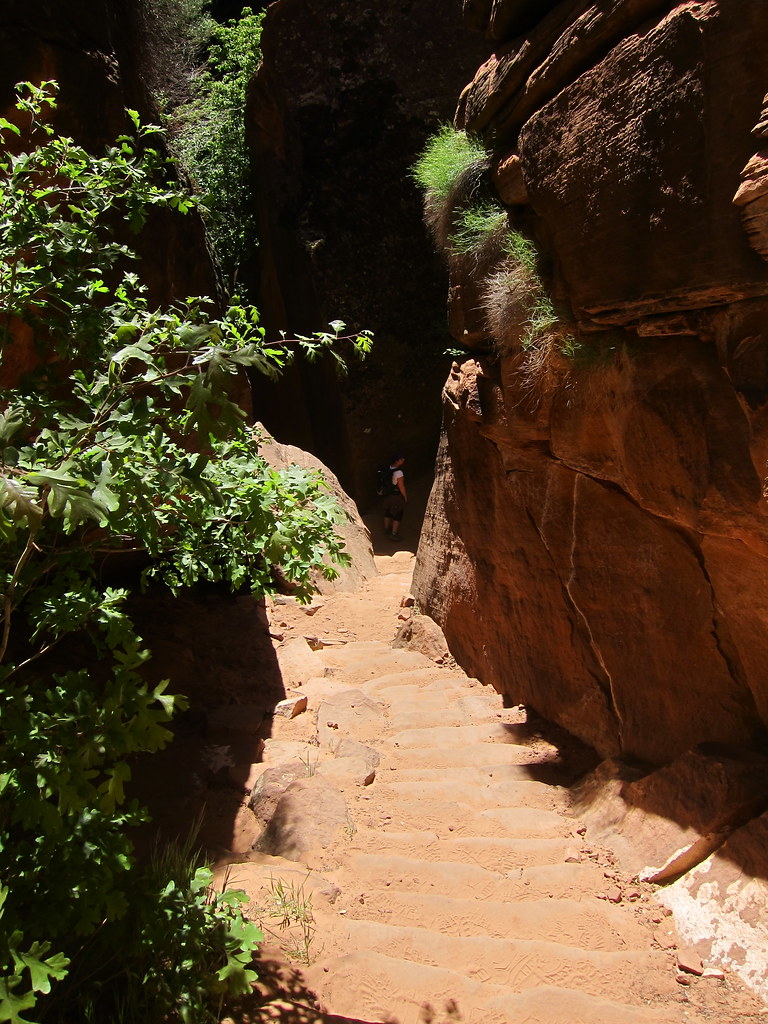 Kayenta Trail Zion National Park Linzi Bergmann Flickr