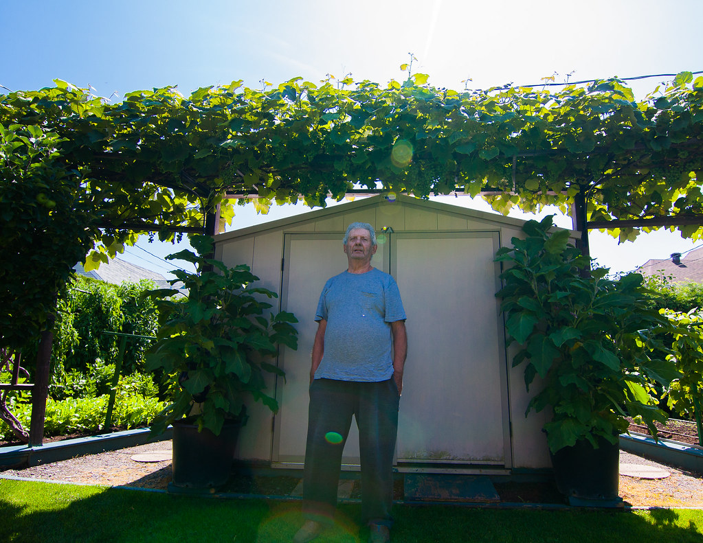 Mirabel 2014 Mirabel 2014 Canada, Quebec, Laurentides, Mir… Flickr