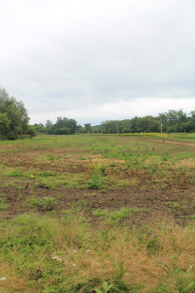 Unplanted Field Along NY 3 Flickr