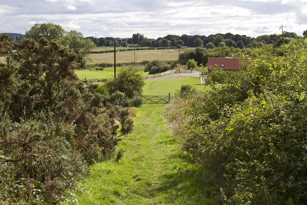 7 SEptember 2013, Low Burnhall (County Durham) The publi… Flickr