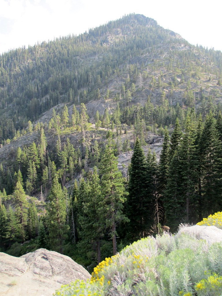 El Dorado National Forest (El Dorado County, California) Flickr