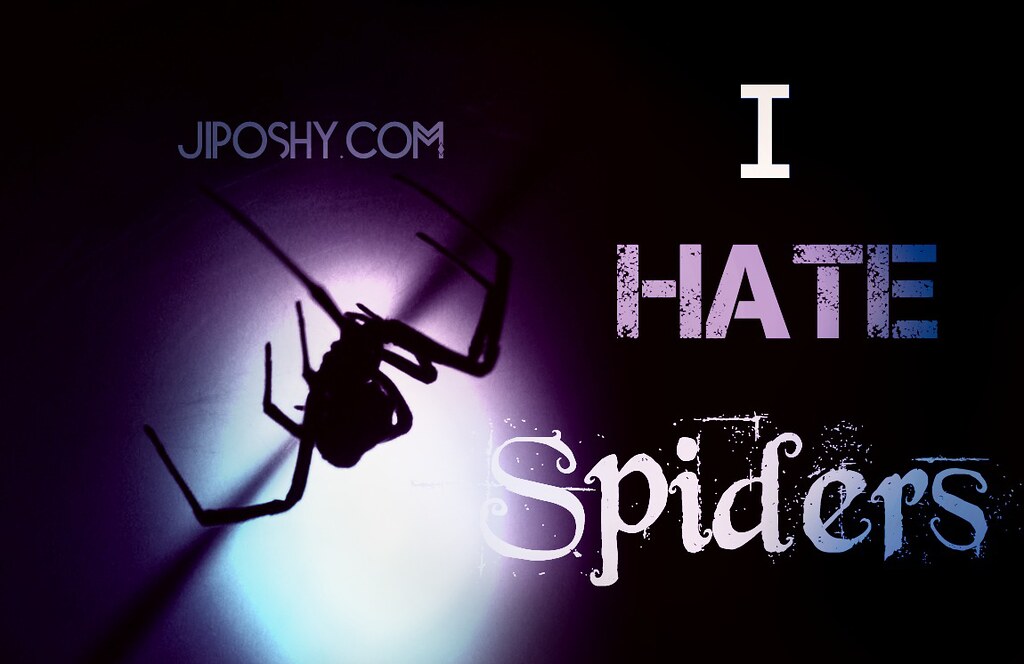 I HATE SPIDERS QUOTES SAYINGS WALLPAPERS BLACK WIDOWS JIPO… Flickr