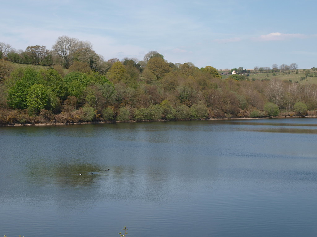 Lliw Valley, Wales Lower Lliw Reservoir, Felindre, Swansea… Nigel