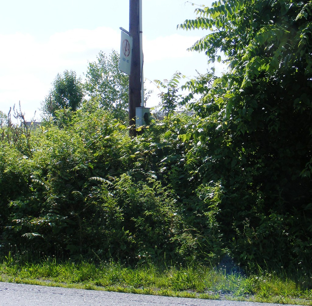 Triple A Approved Field Gettysburg Road, Mechanicsburg, PA… Flickr