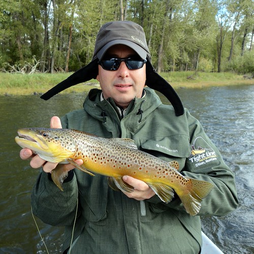 Big Hole brown trout Tom Hart Flickr