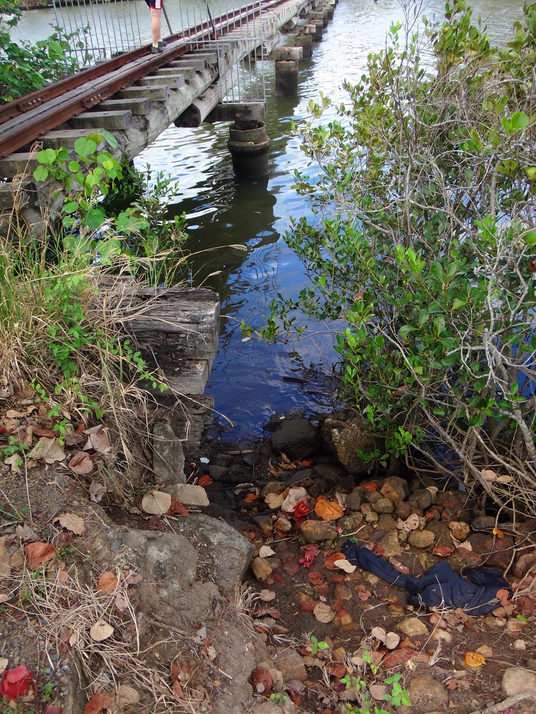 Cane Bridge An old Cane LiftBridge crossing the Maroochy … Flickr