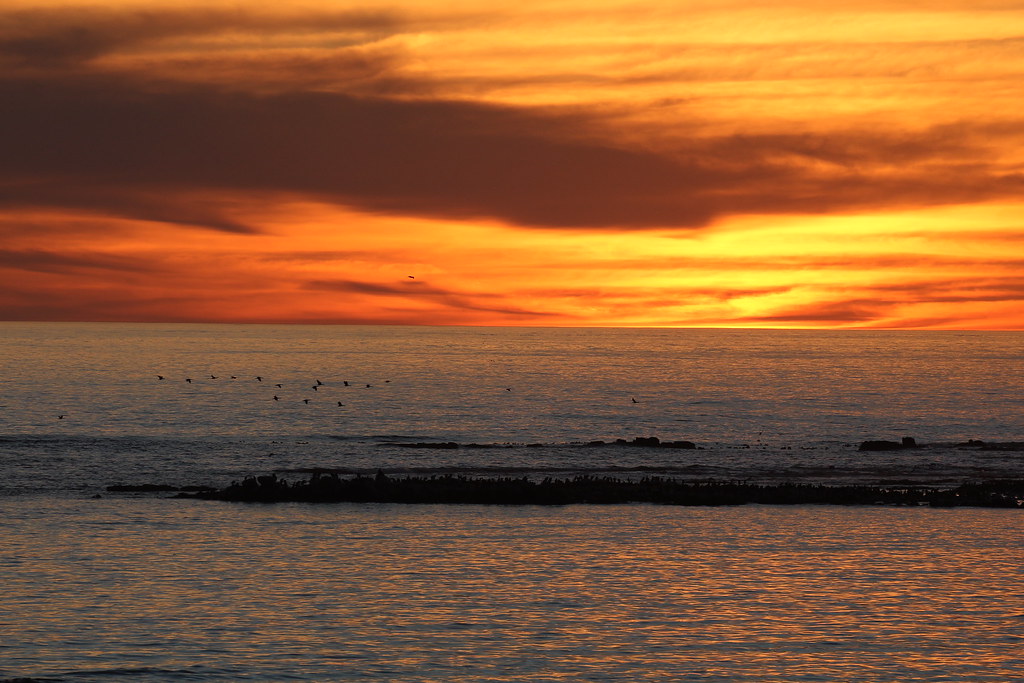 Like a Lake = MacDougall's Bay South Africa Today the sea … Flickr