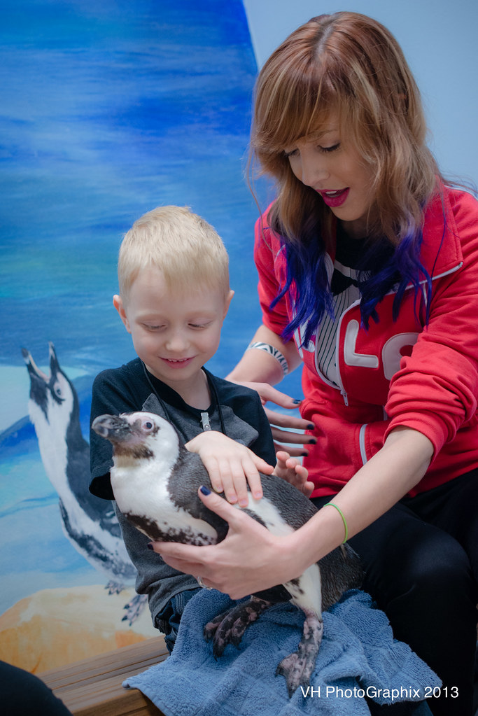 Backstage Penguin Pass Audubon Aquarium of the Americas, a… Flickr