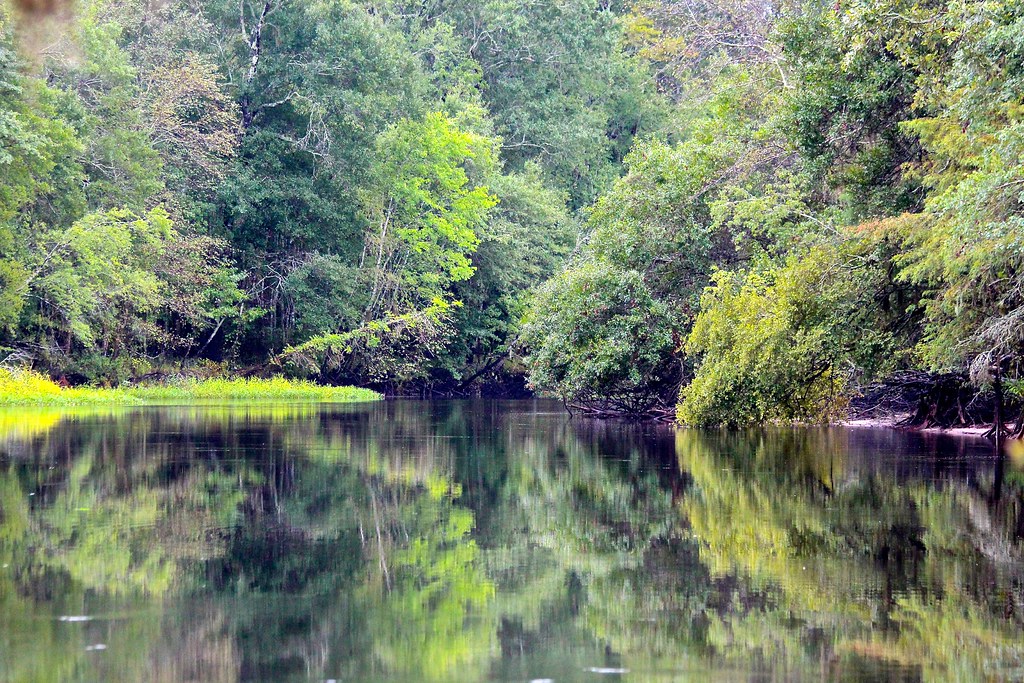 Little Pee Dee River Don't know who named the river, but k… Flickr