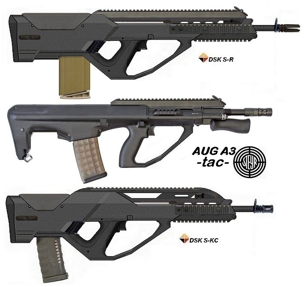 Lady Tac Arms DSK SR rear ejection comp a photo on Flickriver