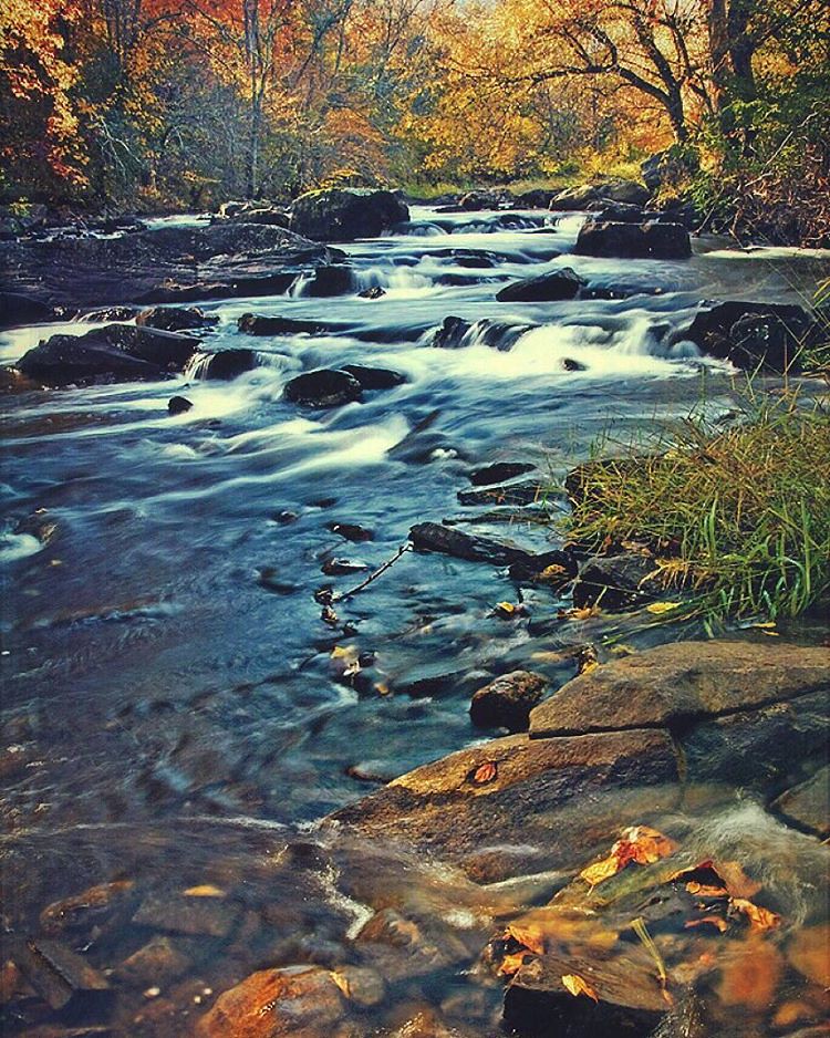 Elevation of Sophia, NC, USA Topographic Map Altitude Map