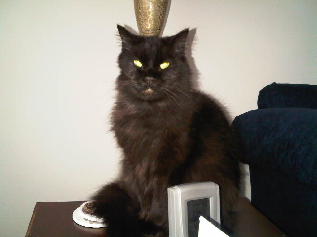 20110115_1055 David Sprague Flickr