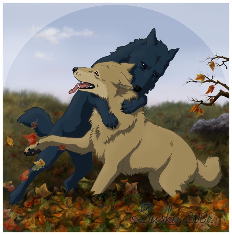 Blue and Hige from Wolf's Rain Blue(black wolf) and Hige