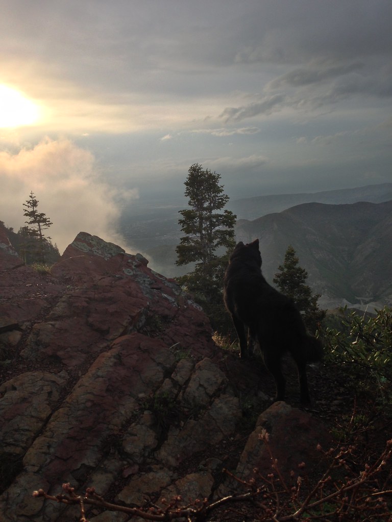 Bear Mill Creek Utah fortherock Flickr