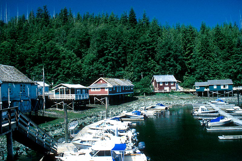 Telegraph Cove British Columbia Travel and Adventure Vacations