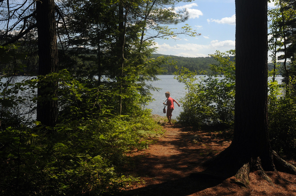 20130715treasuresp0307 in West Fairlee, Vt.,, on July 1… Flickr