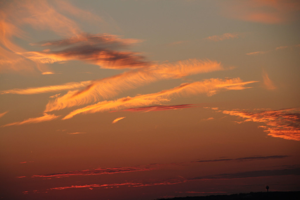 Edwin B. Forsythe National Wildlife Refuge Absecon, NJ Christine
