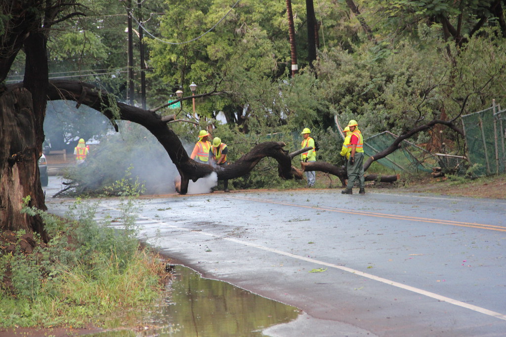 Crew clearing downed tree This is why I took an alternate … Flickr