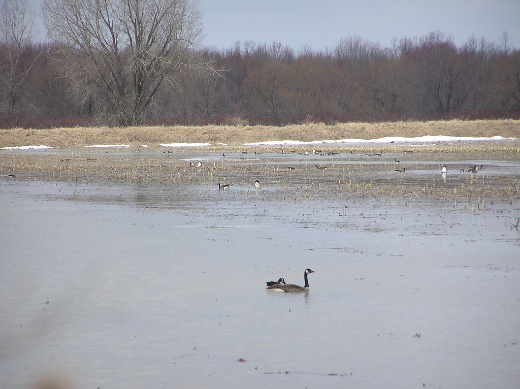 20040412 BaieduFebvre Flickr