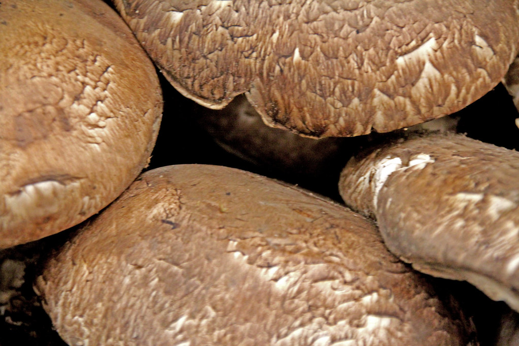 portabella mushrooms Las Vegas, Nevada Trish and Philip Simpson