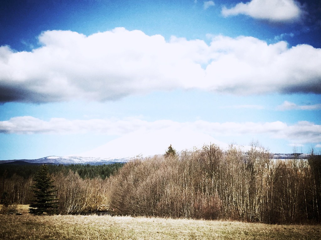 Elevation of WA, White Salmon, WA, USA Topographic Map Altitude Map