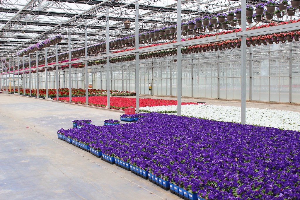 Catoctin Mountain Growers 004 Bernie Rogers Flickr