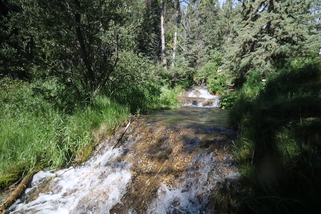 Elevation of 16 Paint Horse Dr, Cochrane, AB T0L, Canada Topographic