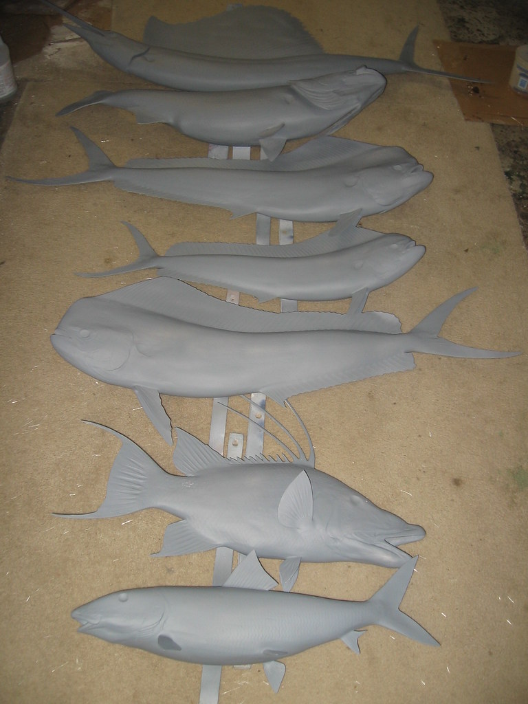 FISH BLANKS Unique Species fish blanks. Made from the fine… Flickr