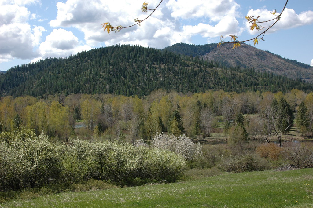 Elevation of Pinehurst, ID, USA Topographic Map Altitude Map