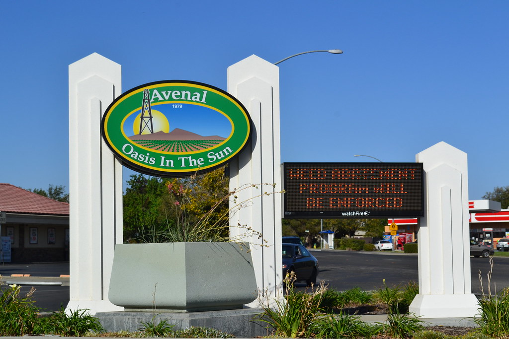 DSC_0020(10) The city signAvenal truly is an oasis. Brian