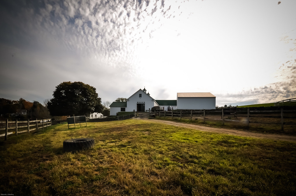 Rock Bottom Farm Stow, MA Deb Ebbeling Flickr